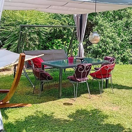 Camping Under The Walnut In Your Own Tent On A Shared Lot And Shared Bathroom Ljubljana Exterior foto