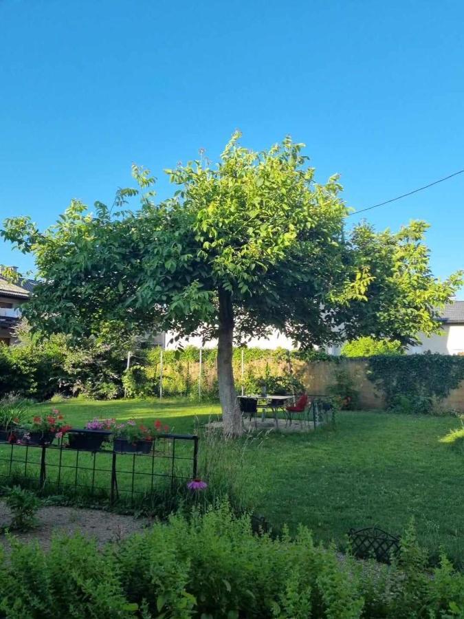 Camping Under The Walnut In Your Own Tent On A Shared Lot And Shared Bathroom Ljubljana Exterior foto