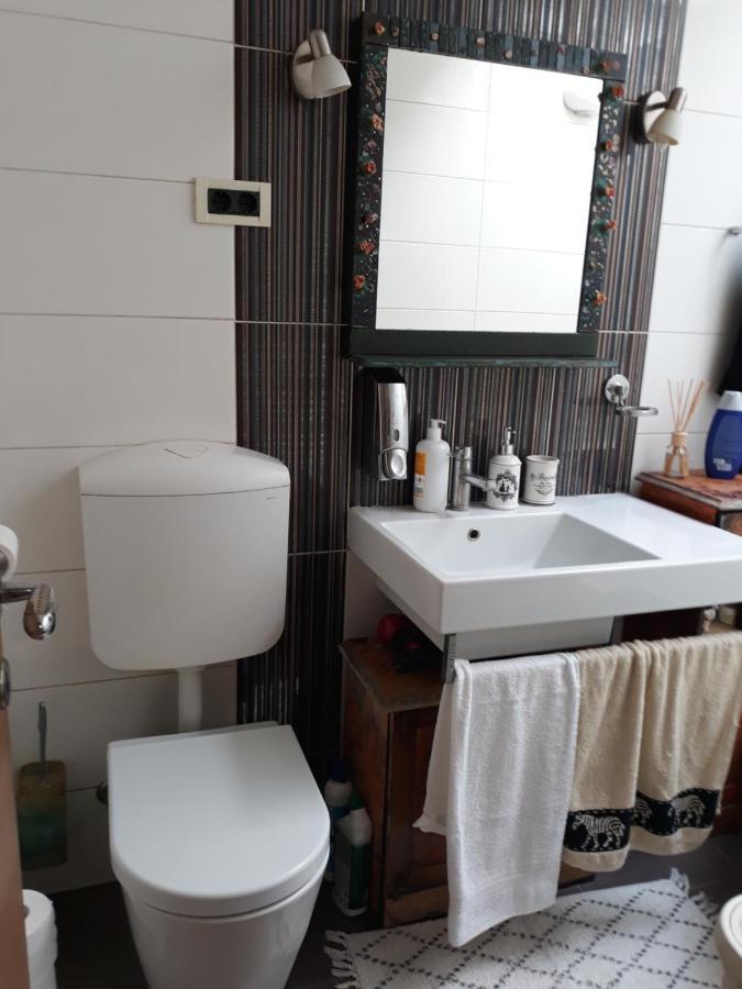 Camping Under The Walnut In Your Own Tent On A Shared Lot And Shared Bathroom Ljubljana Exterior foto