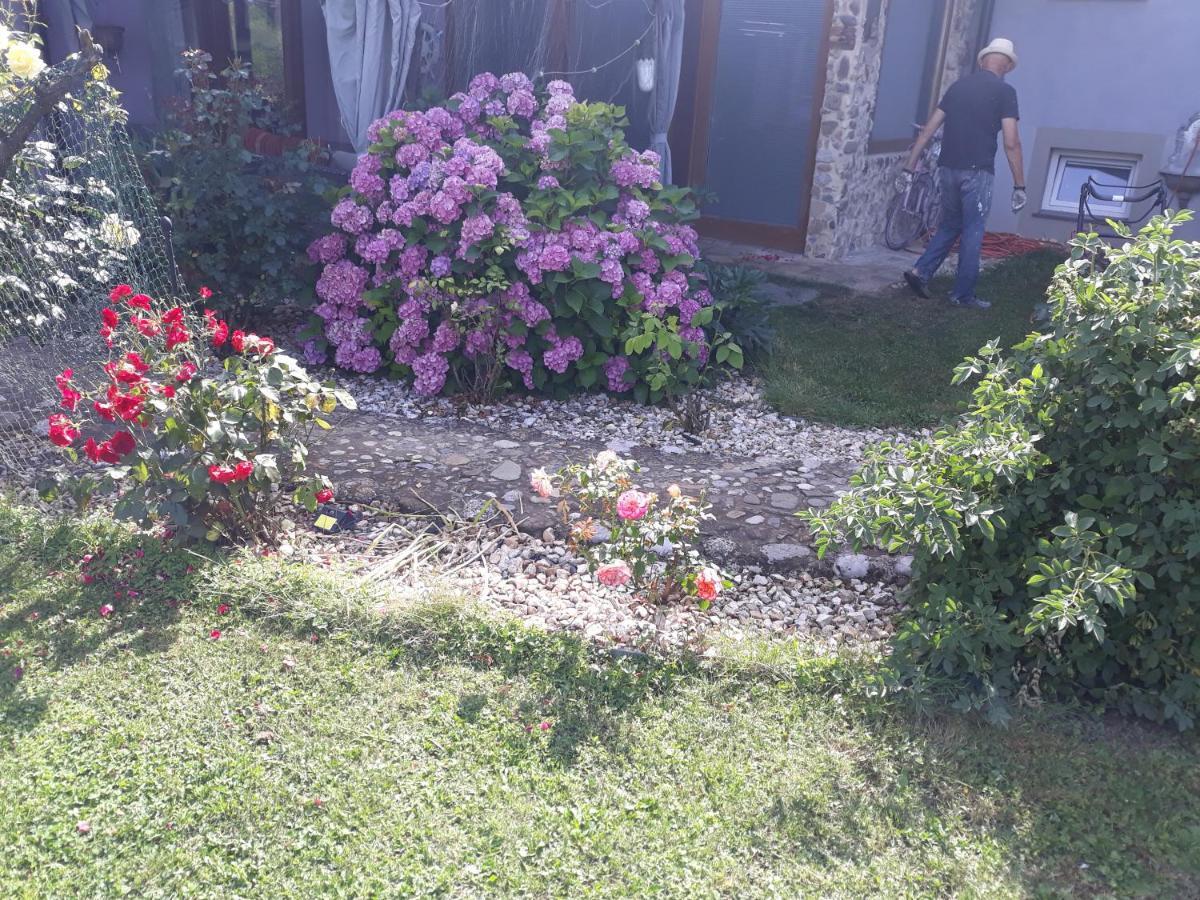 Camping Under The Walnut In Your Own Tent On A Shared Lot And Shared Bathroom Ljubljana Exterior foto