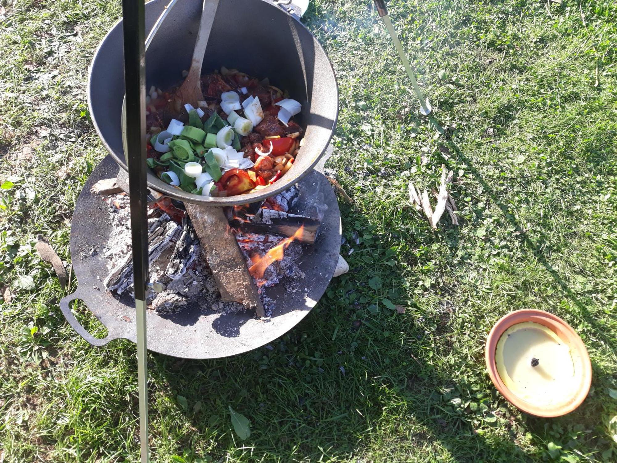 Camping Under The Walnut In Your Own Tent On A Shared Lot And Shared Bathroom Ljubljana Exterior foto