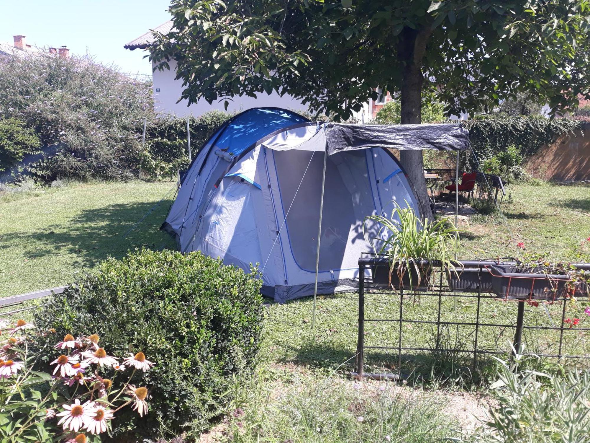 Camping Under The Walnut In Your Own Tent On A Shared Lot And Shared Bathroom Ljubljana Exterior foto