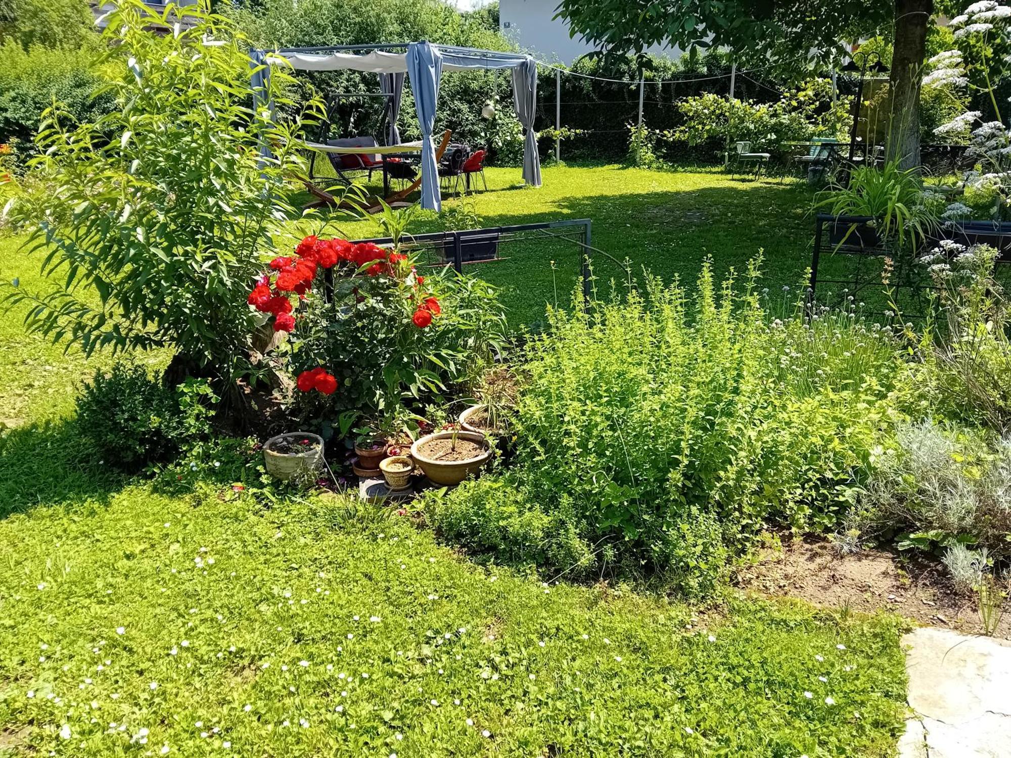Camping Under The Walnut In Your Own Tent On A Shared Lot And Shared Bathroom Ljubljana Exterior foto
